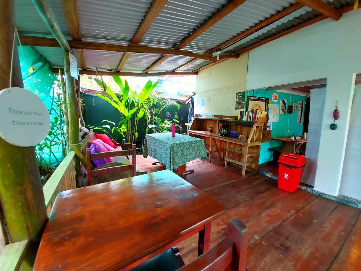 Cabinas ตอร์ตูเกโร ภายนอก รูปภาพ