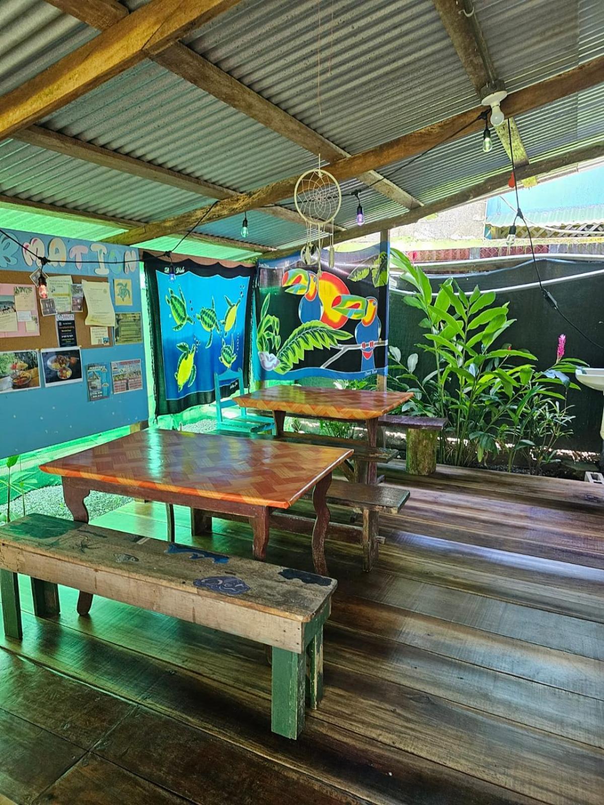 Cabinas ตอร์ตูเกโร ภายนอก รูปภาพ