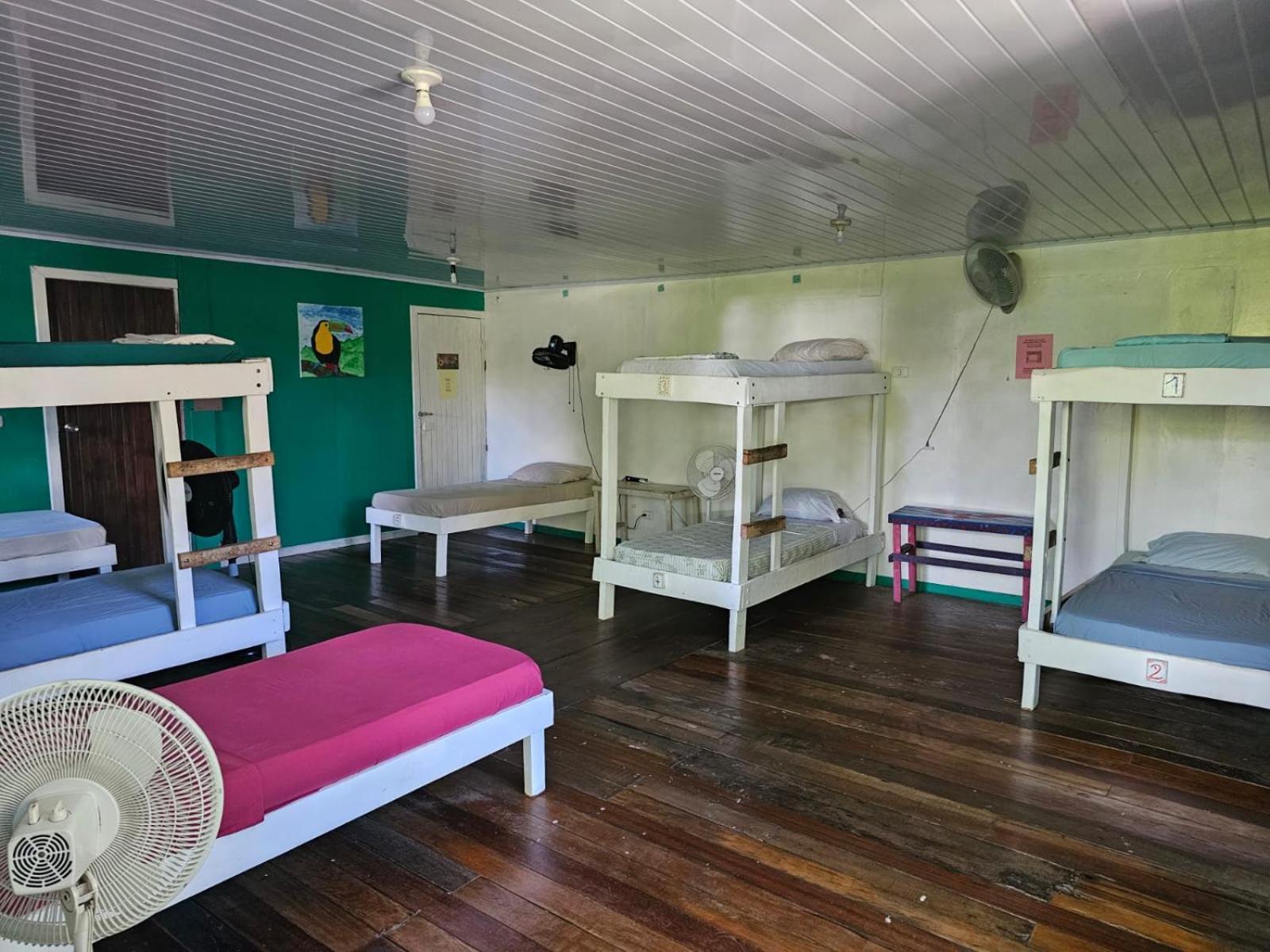Cabinas ตอร์ตูเกโร ภายนอก รูปภาพ