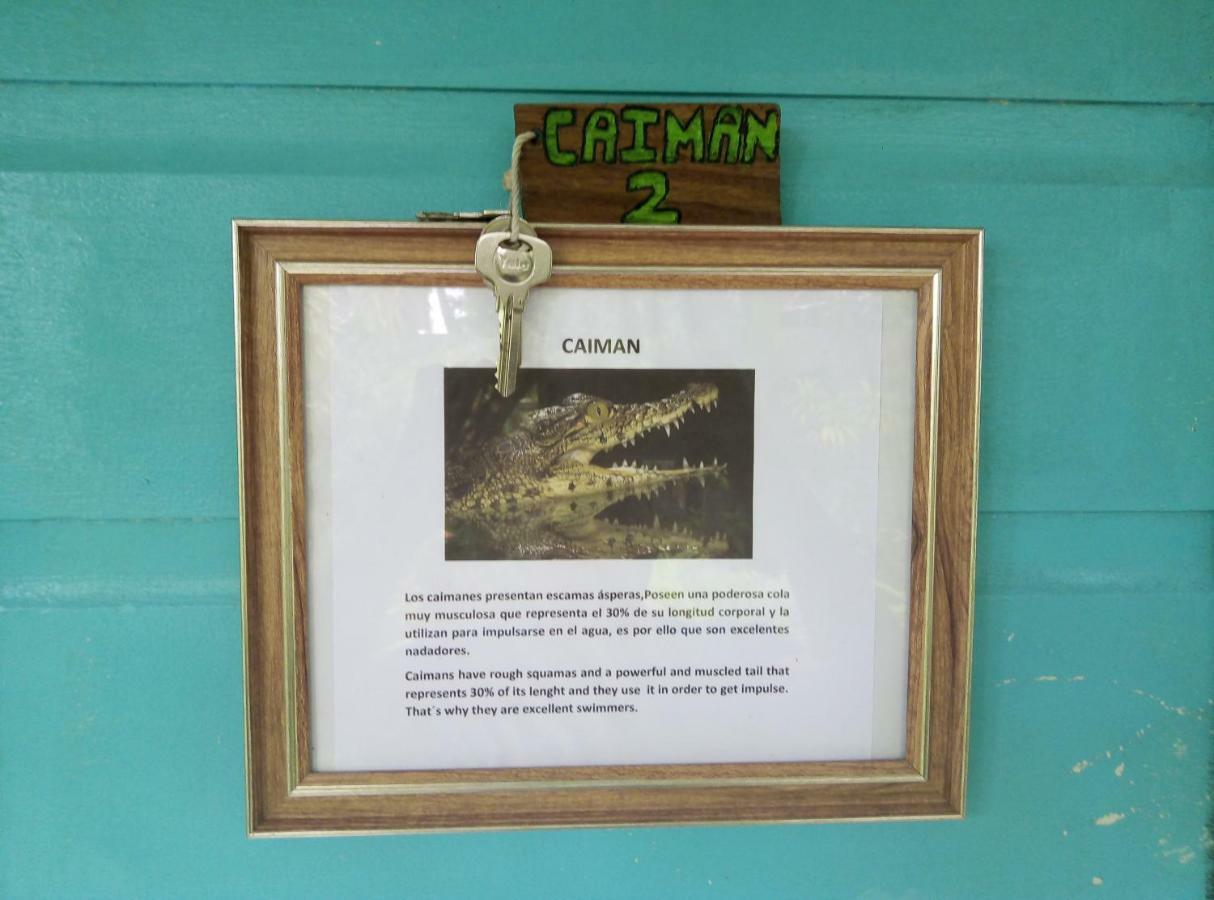 Cabinas ตอร์ตูเกโร ภายนอก รูปภาพ
